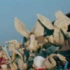 Carnevale-2001 (20)